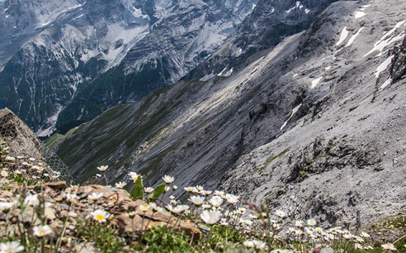 Stelvio Nature Park panoramic views